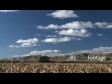 Maize Harvest Side 9 TIME LAPSE 1567